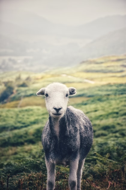 Podcasts for Spiritual Growth